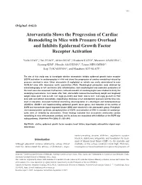 Atorvastatin Slows the Progression of Cardiac Remodeling in Mice with Pressure Overload and Inhibits Epidermal Growth Factor Receptor Activation
