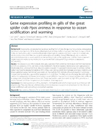Gene Expression Profiling in Gills of the Great Spider Crab Hyas Araneus