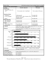 LR Sagittaria Sagittifolia.Pdf