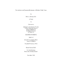 BERMAN-THESIS-2020.Pdf (4.226Mb)