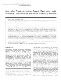Reversal of Cocaine-Associated Synaptic Plasticity in Medial Prefrontal Cortex Parallels Elimination of Memory Retrieval