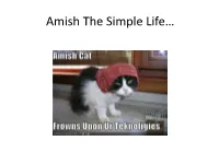 Amish the Simple Life…