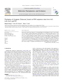 Phylogeny of Caragana (Fabaceae) Based on DNA Sequence Data from Rbcl, Trns–Trng, and ITS