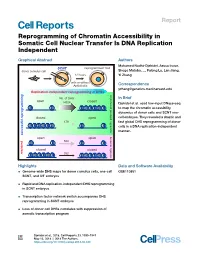 Reprogramming of Chromatin Accessibility in Somatic Cell Nuclear Transfer Is DNA Replication Independent