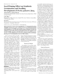 Seed Priming Effect on Symbiotic Germination and Seedling