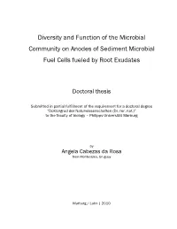 Diversity and Function of the Microbial Community on Anodes of Sediment Microbial Fuel Cells Fueled by Root Exudates