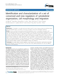 Identification and Characterization of a Set of Conserved and New Regulators of Cytoskeletal Organization, Cell Morphology and Migration