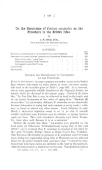 On the Occurrenceof Echinus Esculentus on the Foreshorein The