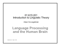 Language Processing and the Human Brain