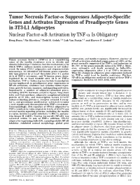 Tumor Necrosis Factor- Suppresses Adipocyte-Specific Genes and Activates Expression of Preadipocyte Genes in 3T3-L1 Adipocytes N