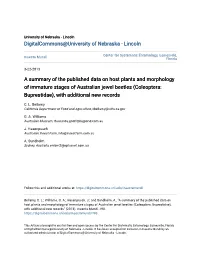 A Summary of the Published Data on Host Plants and Morphology of Immature Stages of Australian Jewel Beetles (Coleoptera: Buprestidae), with Additional New Records