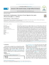 Assessment of Phenotypic Diversity of Local Algerian Date Palm