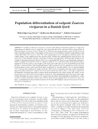 Population Differentiation of Eelpout Zoarces Viviparus in a Danish Fjord