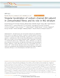 Singular Localization of Sodium Channel &Beta