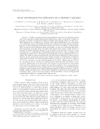 What Determines the Strength of a Trophic Cascade?