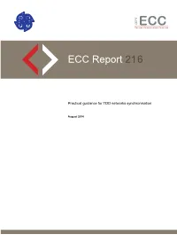 ECC Report 21 6