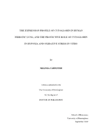 The Expression Profile of Cytoglobin in Human