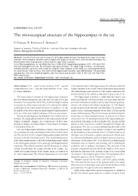 The Microscopical Structure of the Hippocampus in the Rat