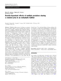 Density-Dependent Effects of Multiple Predators Sharing a Common Prey in an Endophytic Habitat