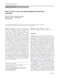 First Record of Cysts in the Tidal Tardigrade Echiniscoides Sigismundi