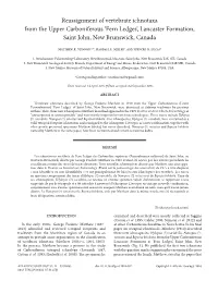 Reassignment of Vertebrate Ichnotaxa from the Upper Carboniferous 'Fern