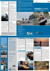Møn Fiskeguide