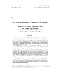 Phylogeography of Finches and Sparrows