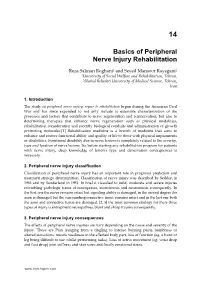Basics of Peripheral Nerve Injury Rehabilitation