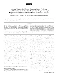 Internal Transcribed Spacer Sequence-Based Phylogeny and Polymerase Chain Reaction-Restriction Fragment Length Polymorphism Differentiation of Tilletia Walkeri and T
