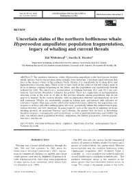 Uncertain Status of the Northern Bottlenose Whale Hyperoodon Ampullatus: Population Fragmentation, Legacy of Whaling and Current Threats