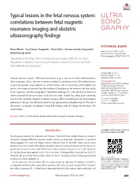 Typical Lesions in the Fetal Nervous System: Correlations Between Fetal Magnetic Resonance Imaging and Obstetric Ultrasonography Findings