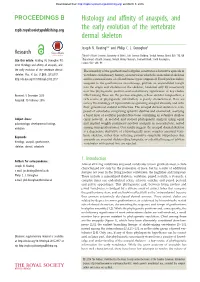 Histology and Affinity of Anaspids, and the Early Evolution of the Vertebrate