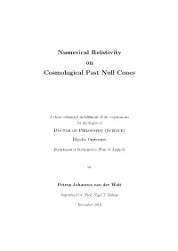 Numerical Relativity on Cosmological Past Null Cones