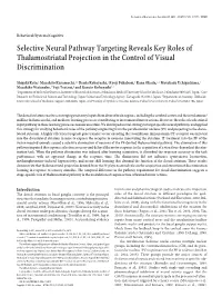 Selective Neural Pathway Targeting Reveals Key Roles of Thalamostriatal Projection in the Control of Visual Discrimination