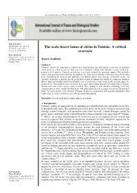 The Scale Insect Fauna of Citrus in Tunisia: a Critical Overview