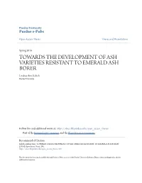 TOWARDS the DEVELOPMENT of ASH VARIETIES RESISTANT to EMERALD ASH BORER Lindsay Ann Kolich Purdue University