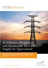 An Efficient, Productive and Sustainable Electricity Supply for Queensland