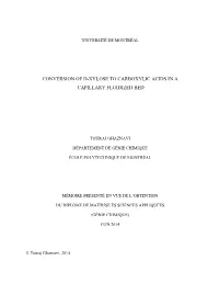 Conversion of D-Xylose to Carboxylic Acids in a Capillary Fluidized Bed