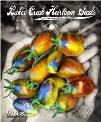 Regular Catalog.Pdf