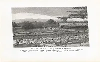 MOOSE BROOK STATE PARK, GORHAM Developed by Civilian