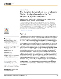 The Complete Genome Sequence of a Second Distinct Betabaculovirus from the True Armyworm, Mythimna Unipuncta