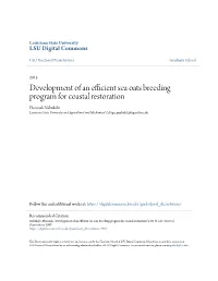 Development of an Efficient Sea Oats Breeding Program for Coastal