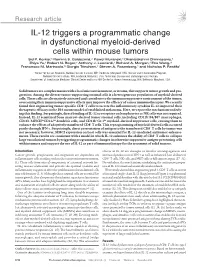 IL-12 Triggers a Programmatic Change in Dysfunctional Myeloid-Derived Cells Within Mouse Tumors Sid P