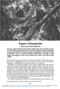 Pygmy Chimpanzees