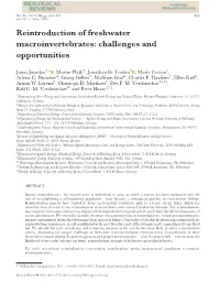 Reintroduction of Freshwater Macroinvertebrates: Challenges and Opportunities