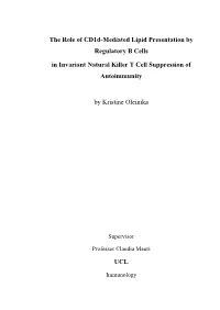 Thesis FINAL