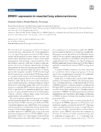 BRMS1 Expression in Resected Lung Adenocarcinoma