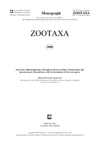 Head and Otolith Morphology of the Genera Hymenocephalus, Hymenogadus and Spicomacrurus (Macrouridae), with the Description of Three New Species