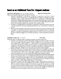 Insert As an Additional Taxa for Campsis Radicans