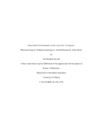 Phenomenological, Postphenomenological, and Posthumanistic Explorations